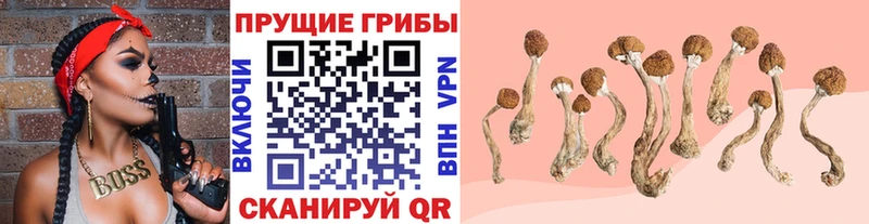 kraken ССЫЛКА  Дмитриев  Галлюциногенные грибы мухоморы 
